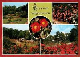 73063162 Sangerhausen Suedharz Rosarium Groesste Rosensammlung Der Welt Sangerha - Sangerhausen