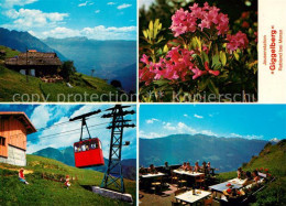 73062747 Rabland Jausenstation Giggelberg Alpenrose Rabland - Sonstige & Ohne Zuordnung