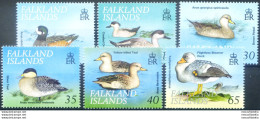 Fauna. Uccelli 1999. - Islas Malvinas