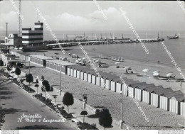 At437 Cartolina Senigallia Il Molo E Il Lungomare Provincia Di Ancona - Ancona