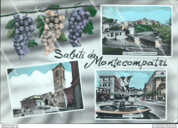 Bh536 Cartolina Saluti Da Montecompatri Provincia Di Roma - Sonstige & Ohne Zuordnung