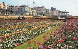 73018238 Brighton East Sussex Sunken Gardens Brighton East Sussex - Otros & Sin Clasificación