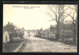 CPA Chatillon-sur-Marne, Entrée Du Pays, Route Du Bois  - Andere & Zonder Classificatie