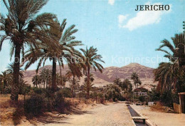 73003070 Jericho Israel Fountain Of Eliseus Jericho Israel - Israël