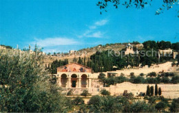 72999660 Jerusalem Yerushalayim Basilika Garten  Jerusalem Yerushalayim - Israele