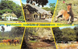 R067423 New Forest. Multi View. Photo Precision. 1982 - World