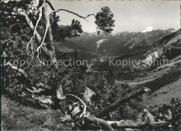 11626355 Zernez GR Blick Vom Ofenpass Gegen Muenstertal Und Ortler Zernez - Andere & Zonder Classificatie