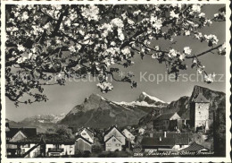 11626336 Maienfeld Ortsansicht Mit Schloss Brandis Alpenblick Baumbluete Maienfe - Autres & Non Classés