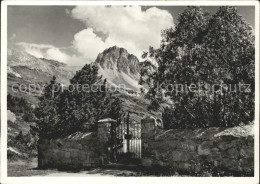 11626321 Maloja GR Friedhof Segantinis Grab Maloja - Sonstige & Ohne Zuordnung