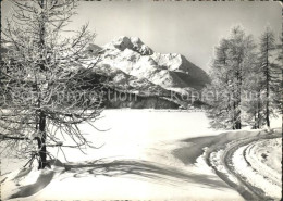 11626320 Maloja GR Am Wege Nach Maloja Winterimpressionen Engadin Maloja - Autres & Non Classés