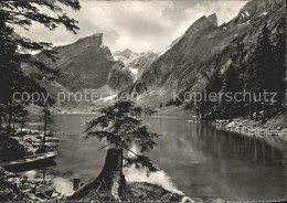 11625901 Seealpsee Mit Rossmad Und Saentis Seealpsee - Altri & Non Classificati