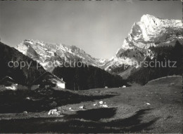 11625892 Toggenburg Mit Saentis Und Schafberg Churfirsten - Sonstige & Ohne Zuordnung