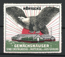 Reklamemarke Höntsch's Gewächshäuser Sind Erstklassig In Material Und Ausführung, Adler  - Erinofilia