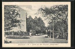 AK Ibbenbüren I. W., Partie Aus Dem Kurpark Waldfrieden  - Ibbenbueren