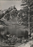 11625593 Seealpsee Mit Rossmad Seealpsee - Altri & Non Classificati