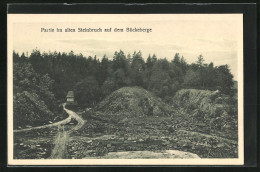 AK Obernkirchen, Partie Im Alten Steinbruch Auf Dem Bückeberge  - Bergbau