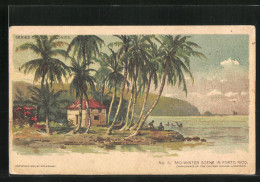 Lithographie Puerto Rico, Mid-Winter Scene  - Autres & Non Classés