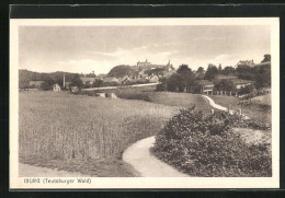 AK Iburg / Teutoburger Wald, Feld Vor Der Stadt  - Autres & Non Classés