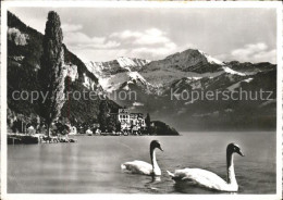 11624940 Merligen Hotel Beatus Schwaene Thunersee Merligen - Andere & Zonder Classificatie