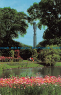 R067650 The Port Office Tower From Regents Park. London. Salmon. 1974 - Altri & Non Classificati