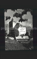 11624408 Werdenberg Schloss Residenz Grafen Von Werdenberg Werdenberg - Sonstige & Ohne Zuordnung