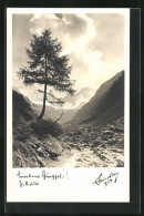 Foto-AK Hans Hruschka Nr. 739: Eingame Gunggel, Zillertal  - Autres & Non Classés