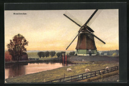 Künstler-AK Photochromie Nr. 2933: Monnikendam, Windmühle Und Schafe  - Sonstige & Ohne Zuordnung
