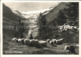 11624347 Alp Gruem Paluegletscher Alp Gruem - Sonstige & Ohne Zuordnung