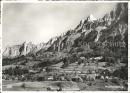 11624132 Walenstadtberg  Walenstadtberg - Sonstige & Ohne Zuordnung