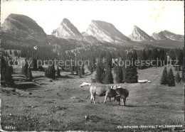 11624130 Churfirsten Alp Sellamatt Kuehe St Gallen - Sonstige & Ohne Zuordnung