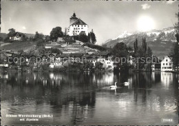 11624101 Werdenberg Schloss Alpstein Werdenberg - Andere & Zonder Classificatie