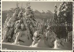 11624072 Unterwasser Toggenburg Hotel Sternen Bergrestaurant Iltios Unterwasser - Andere & Zonder Classificatie