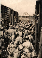 Photo 1962 - Troupes De BEN BELLA - Opérations De Controle - Algérie - Guerre - - Guerre, Militaire