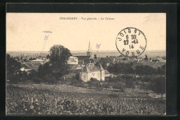 CPA Chalindrey, Vue Générale, Le Château  - Chalindrey