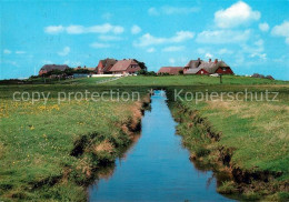 73062178 Hallig Hooge Mitteltritt Lorenzwarft Hallig Hooge - Sonstige & Ohne Zuordnung