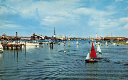 R067824 Shoreham By Sea. The River. Constance - World