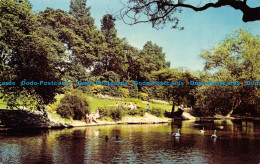 R067835 Barnes Park. Sunderland. Photo Precision. 1981 - World