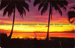 R067842 Sunset. Fiji Islands. 1966 - World