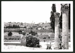 Fotografie Ansicht Jerusalem, Blick Auf Den Ort Mit Moschee Vom Olivenberg Aus  - Places