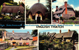 R067992 English Thatch. Multi View. Photo Precision - World