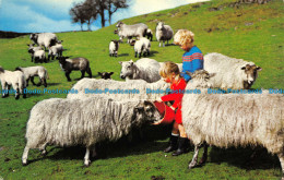 R067994 Old Postcard. Kids And Sheeps. Photo Precision - World