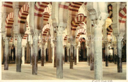 73051317 Cordoba Andalucia Mezquita Saeuelenhalle Cordoba Andalucia - Otros & Sin Clasificación