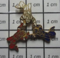 1818C Pin's Pins / Beau Et Rare / SPORTS / EQUIPE PARACHUTISTE TRICOLORE - Parachutting