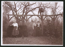 Fotografie Ansicht Güstrow, Garten Der Familie Haackert, Bub Klettert Auf Pergola  - Lugares