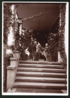 Fotografie Ansicht Güstrow, Hund Auf Terrasse Vom Haus August Haackert  - Places