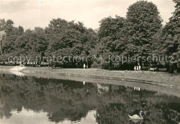 73045026 Gorzow Wlkp. Teich Park Gorzow Wlkp. - Polen