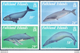 Fauna. Cetacei 1989. - Falklandinseln