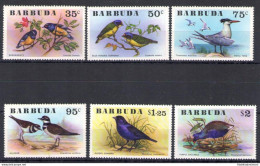 1976 Barbuda, Uccelli - Yvert N. 251-56 - 6 Valori - MNH** - Sonstige & Ohne Zuordnung