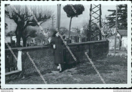 Az726 Foto Privata Carnevale Di Frascati 1954 Provincia Di Roma - Sonstige & Ohne Zuordnung