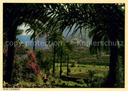 73041563 Islas Canarias  Islas Canarias - Andere & Zonder Classificatie